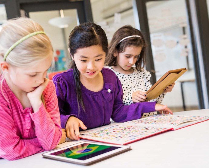 Schools and Preschools